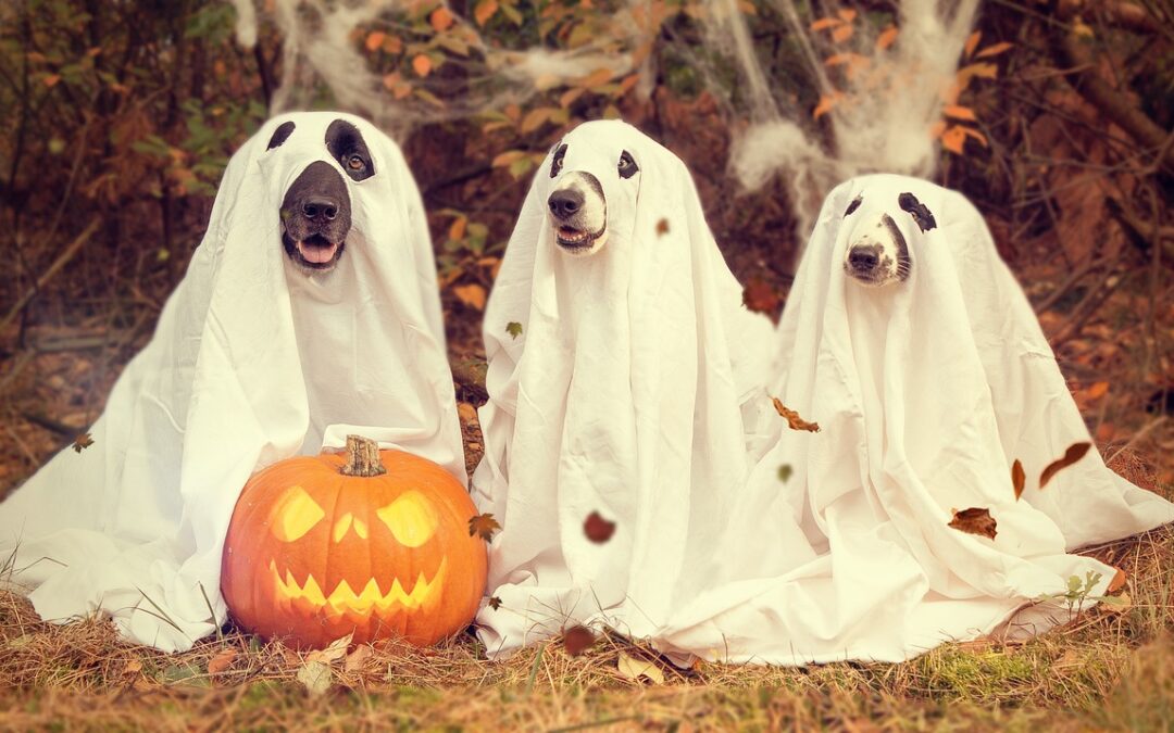 Managing Halloween with an Eating Disorder: Tips for Individuals and Their Caregivers
